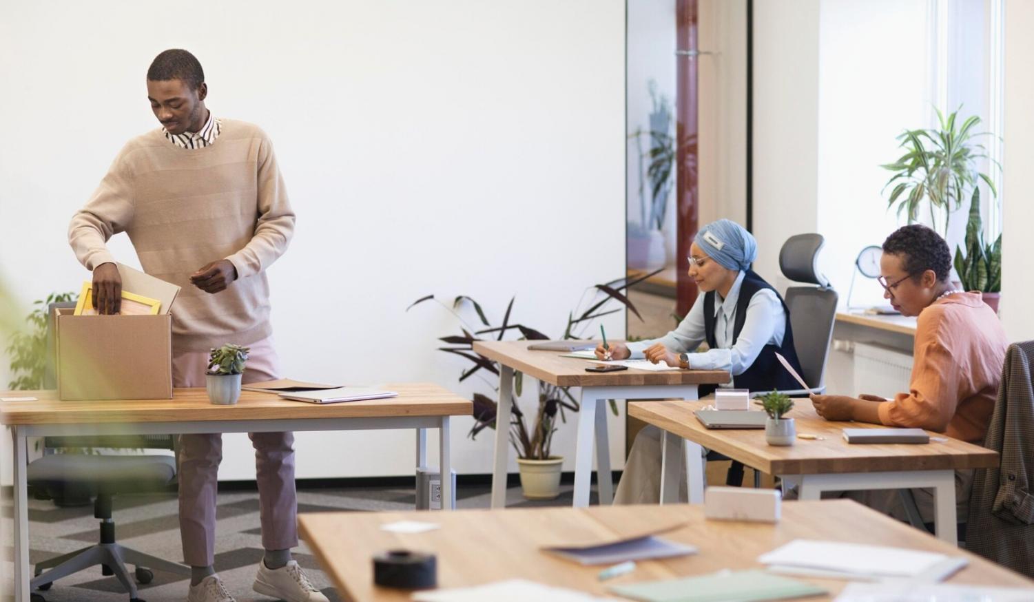 Professionelle Finanzanalyse und Strategieentwicklung